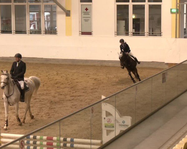 Reitturnier Stadl-Paura 2025