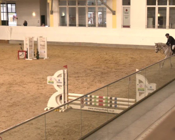 Reitturnier Stadl-Paura 2025