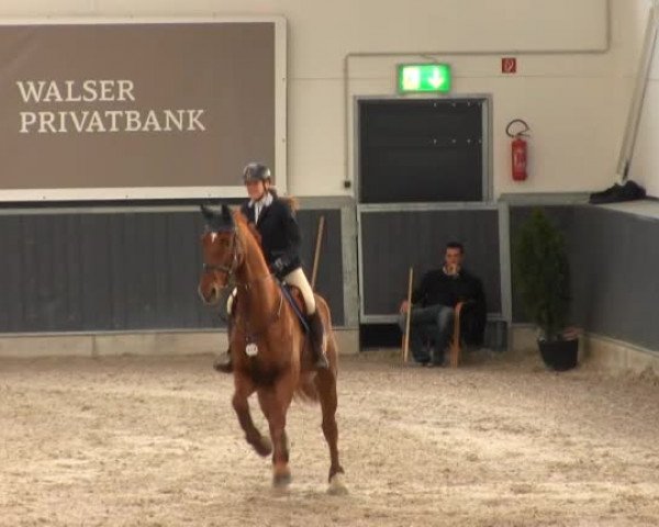 Springturnier auf dem Abtshof 2013