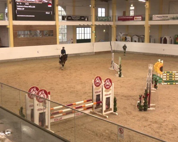 Reitturnier Stadl-Paura 2025