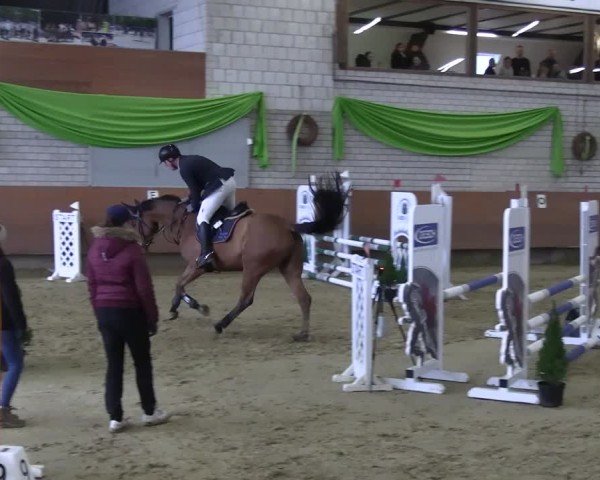 Reitturnier Hellefeld 2025