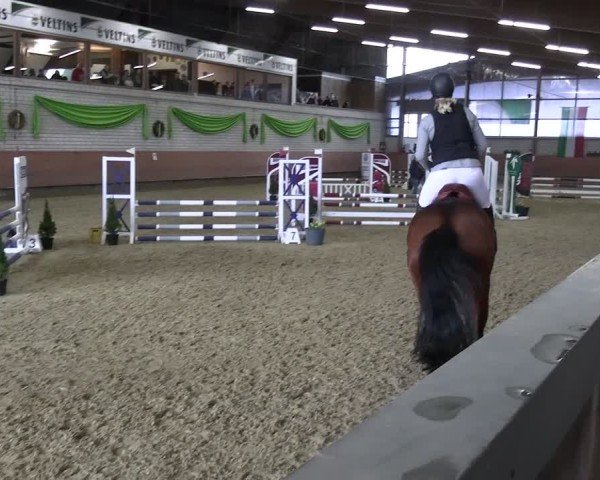 Reitturnier Hellefeld 2025