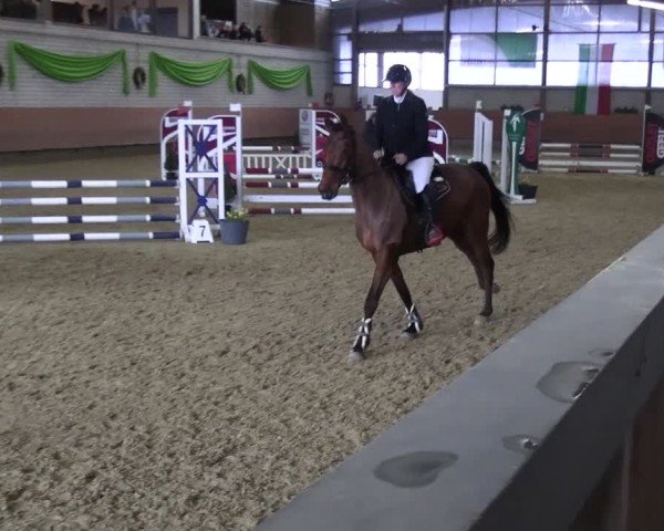 Reitturnier Hellefeld 2025