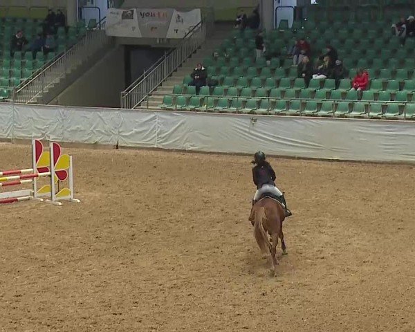 Reitturnier Kreuth 2025