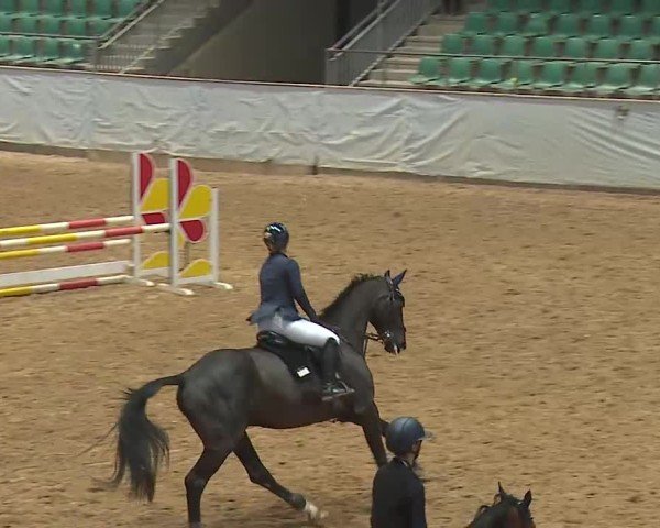 Reitturnier Kreuth 2025