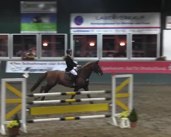 Salzkotten 2013