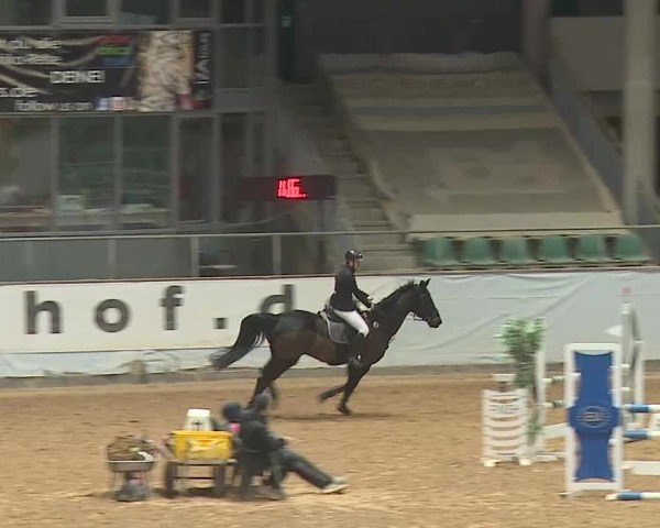 Reitturnier Kreuth 2025