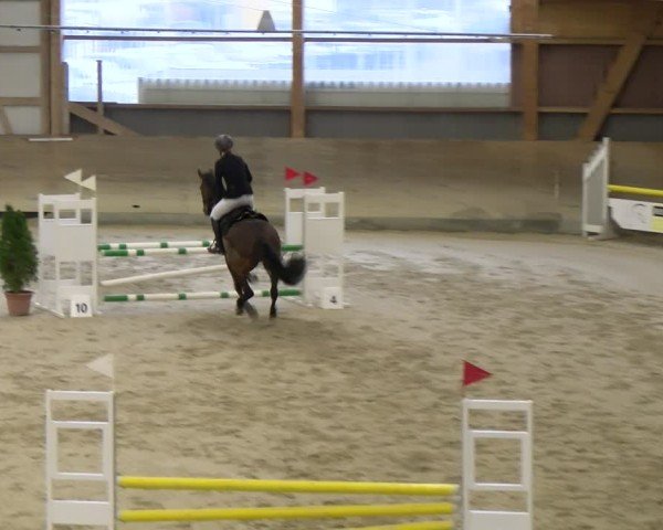 Reitturnier Schaffhausen 2025