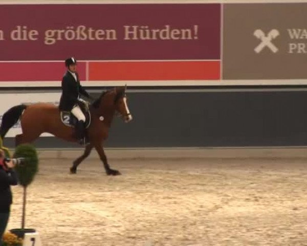 Springturnier auf dem Abtshof 2013
