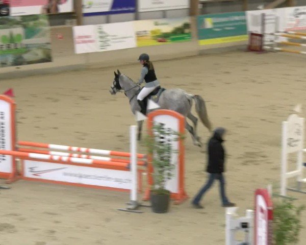 Reitturnier Schaffhausen 2025
