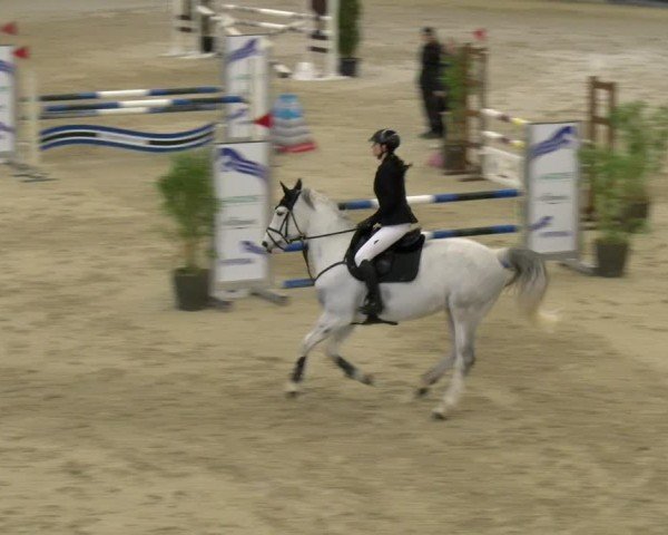 Reitturnier Schaffhausen 2025