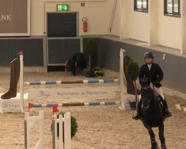Springturnier auf dem Abtshof 2013