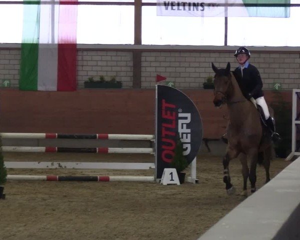 Reitturnier Hellefeld 2025