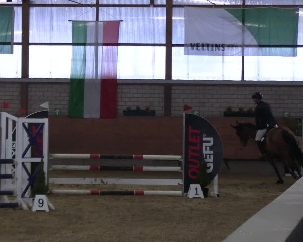 Reitturnier Hellefeld 2025