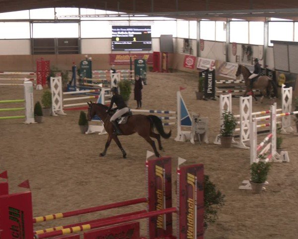 Reitturnier Westbarthausen 2025