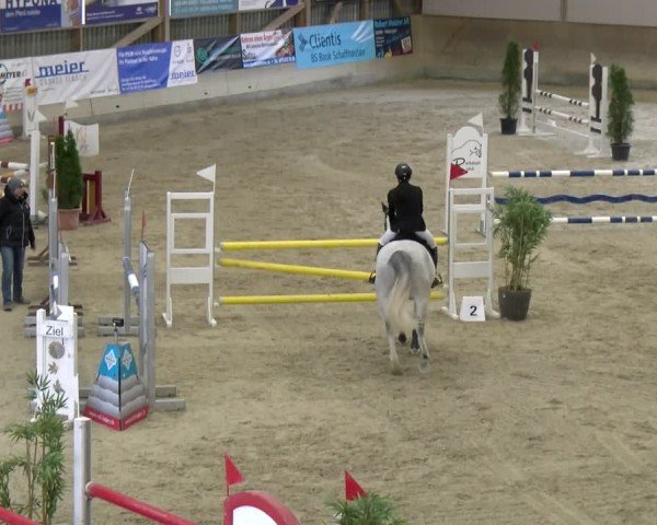 Reitturnier Schaffhausen 2025