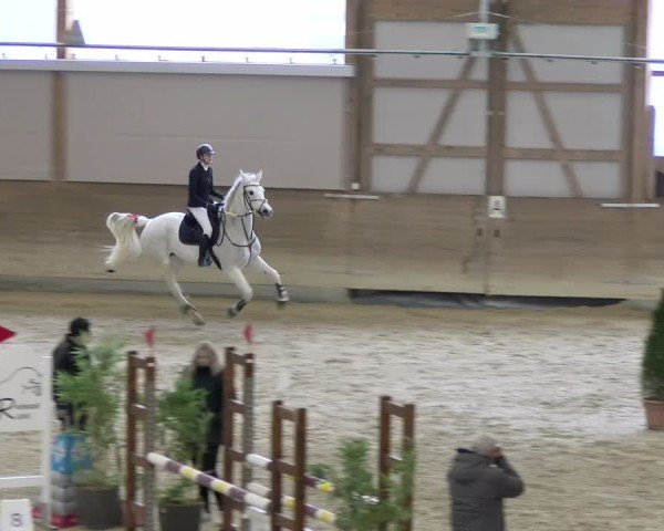 Reitturnier Schaffhausen 2025