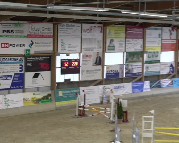 Reitturnier Schaffhausen 2025