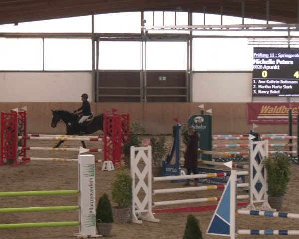 Reitturnier Westbarthausen 2025
