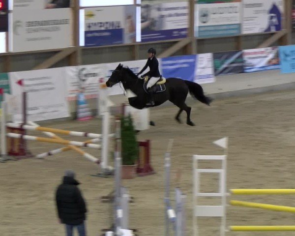 Reitturnier Schaffhausen 2025