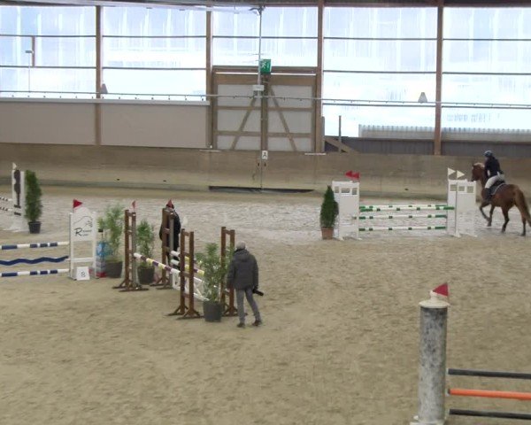 Reitturnier Schaffhausen 2025