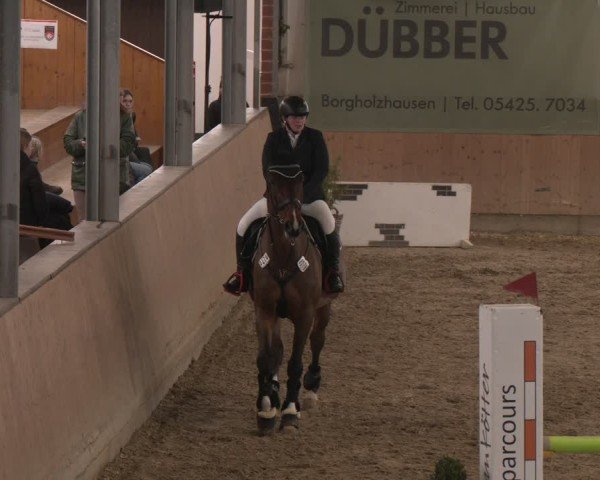 Reitturnier Westbarthausen 2025