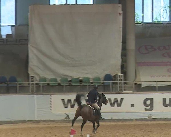 Reitturnier Kreuth 2025