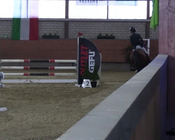 Reitturnier Hellefeld 2025