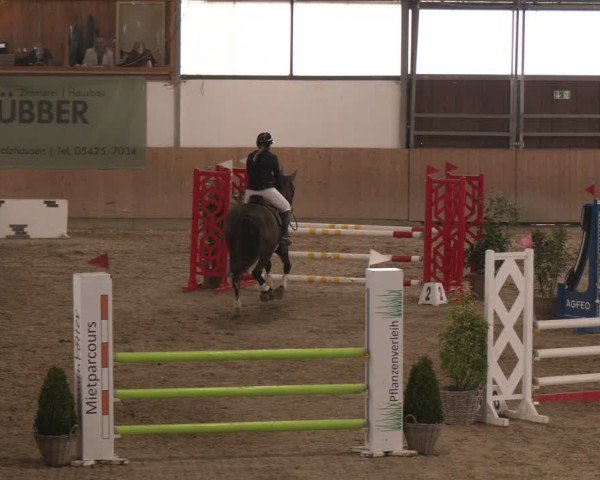 Reitturnier Westbarthausen 2025