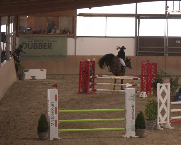 Reitturnier Westbarthausen 2025