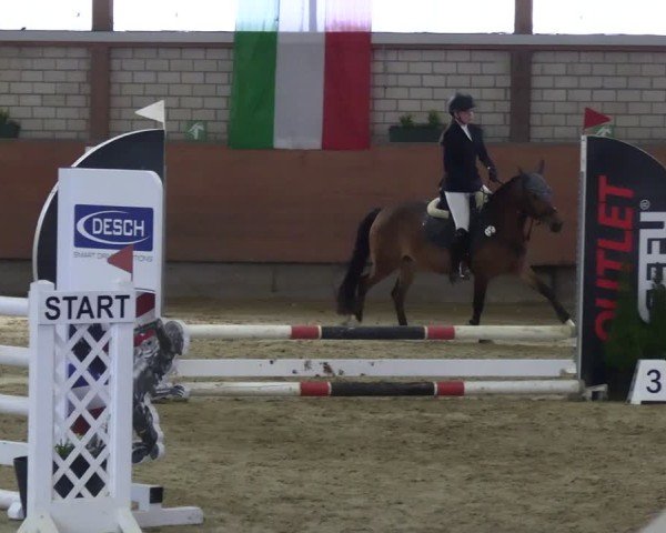 Reitturnier Hellefeld 2013