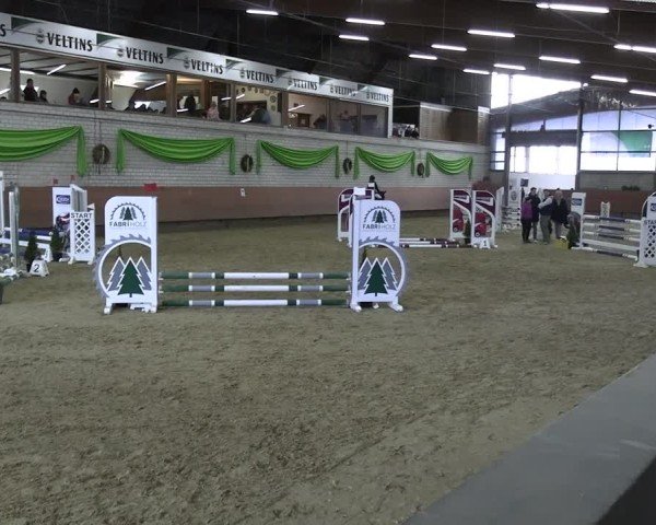 Reitturnier Hellefeld 2025