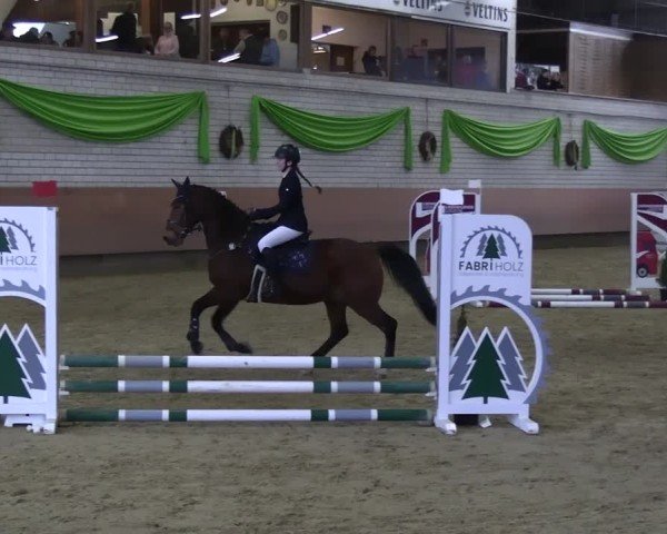 Reitturnier Hellefeld 2025