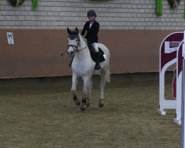 Reitturnier Hellefeld 2025