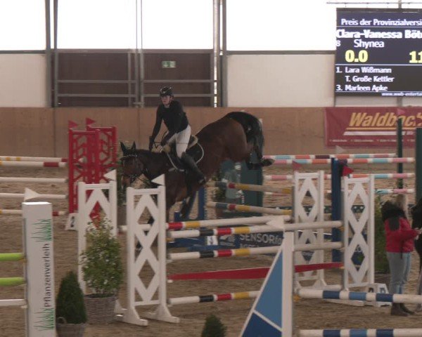 Reitturnier Westbarthausen 2025