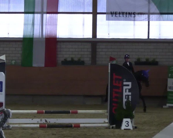 Reitturnier Hellefeld 2025