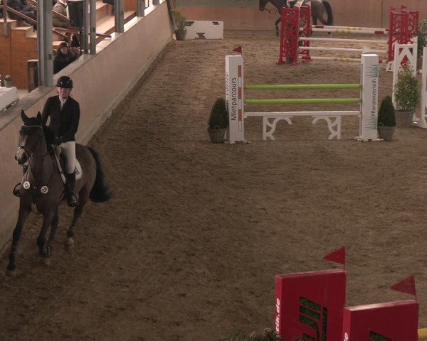 Reitturnier Westbarthausen 2025