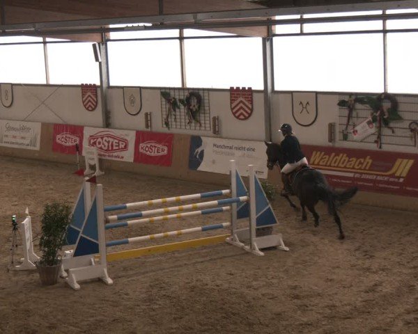 Reitturnier Westbarthausen 2025