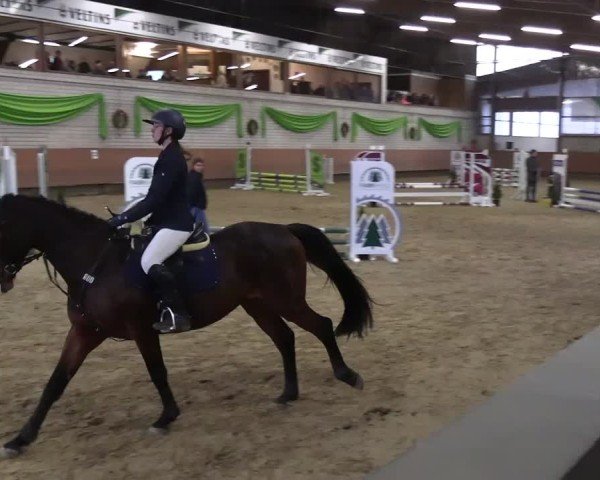 Reitturnier Hellefeld 2025