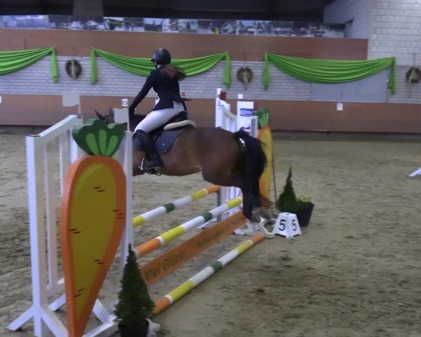 Reitturnier Hellefeld 2013
