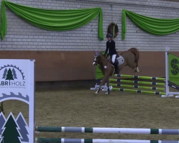 Reitturnier Hellefeld 2025