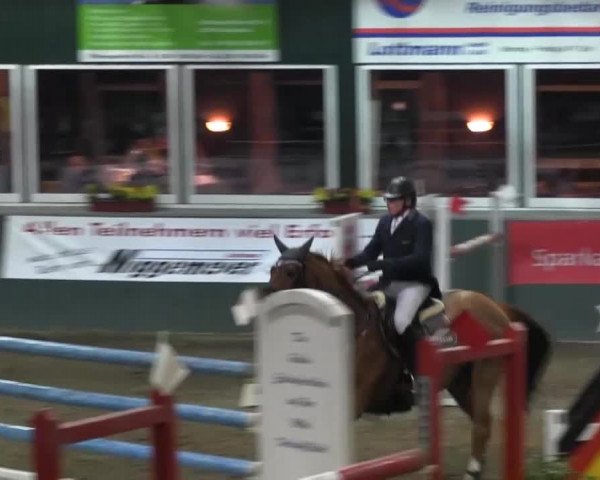Reitturnier Salzkotten 2013