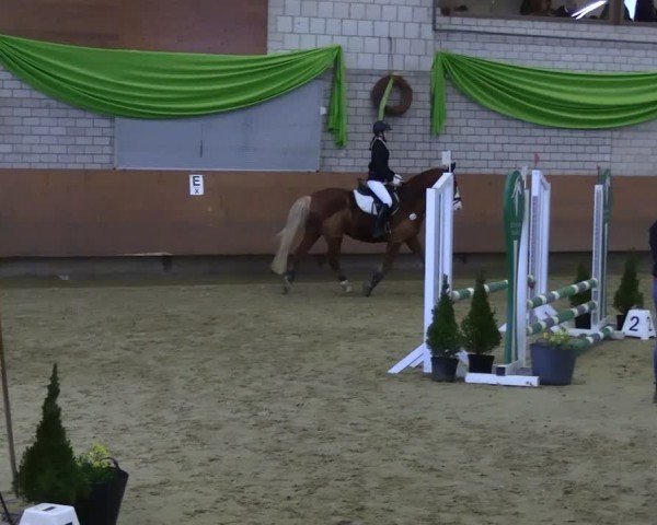 Reitturnier Hellefeld 2025