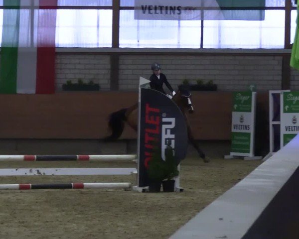 Reitturnier Hellefeld 2025