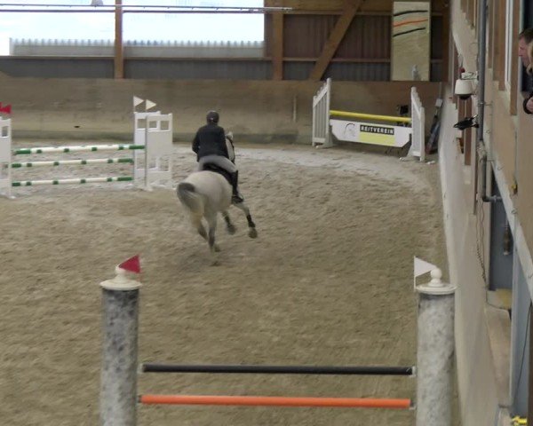Reitturnier Schaffhausen 2025