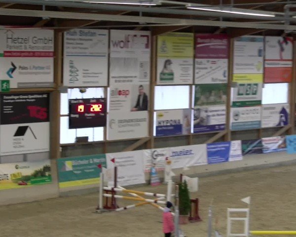 Reitturnier Schaffhausen 2025
