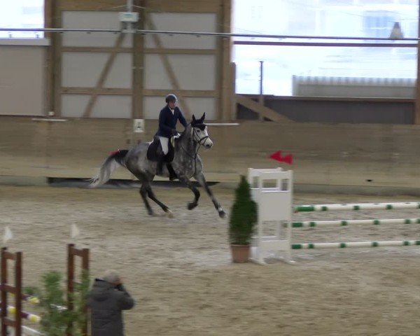 Reitturnier Schaffhausen 2025