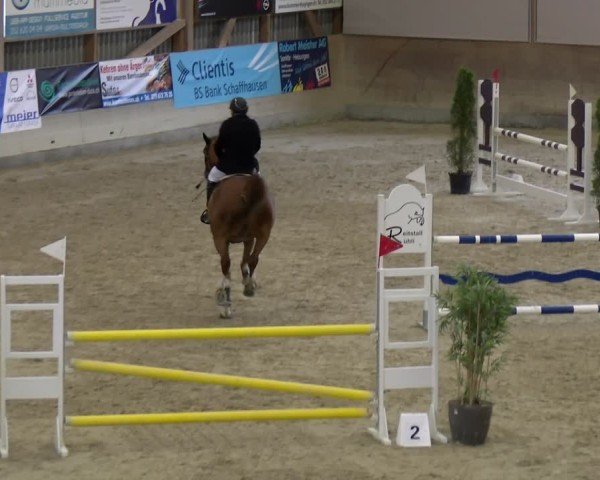 Reitturnier Schaffhausen 2025