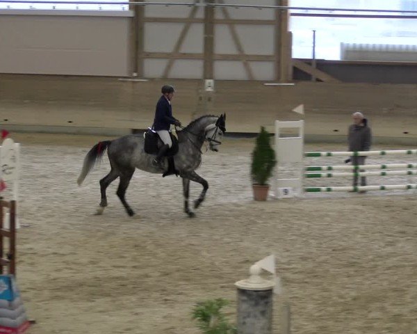 Reitturnier Schaffhausen 2025