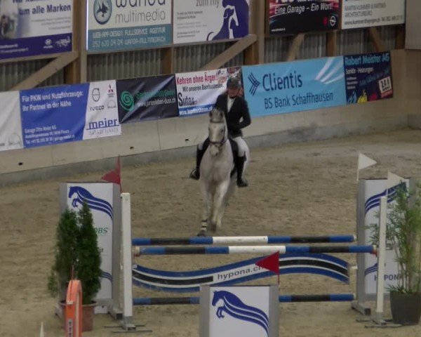 Reitturnier Schaffhausen 2025